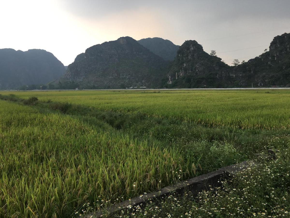 Limestone View Homestay Ninh Binh Exteriér fotografie