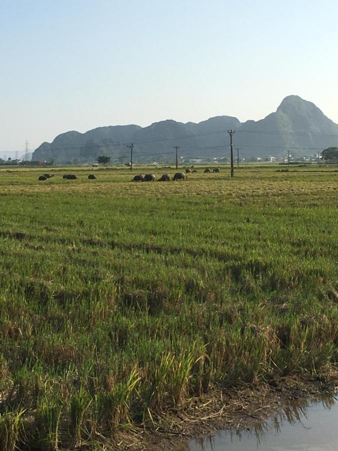 Limestone View Homestay Ninh Binh Exteriér fotografie